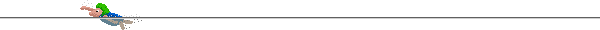 line divider